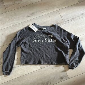 NTW Wildfox Gray “Not so evil Step Sister” Cropped Sweatshirt